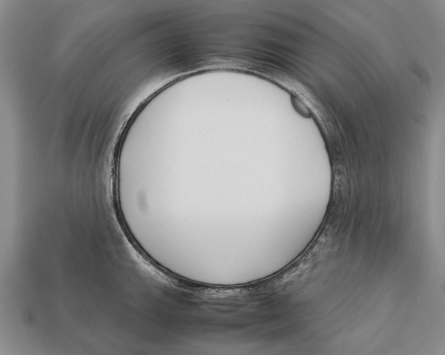 X0000113031143200909241408