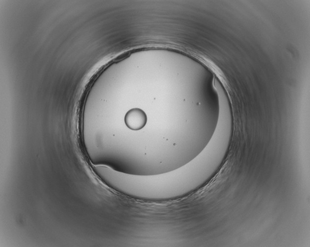 X0000113031144200909241408