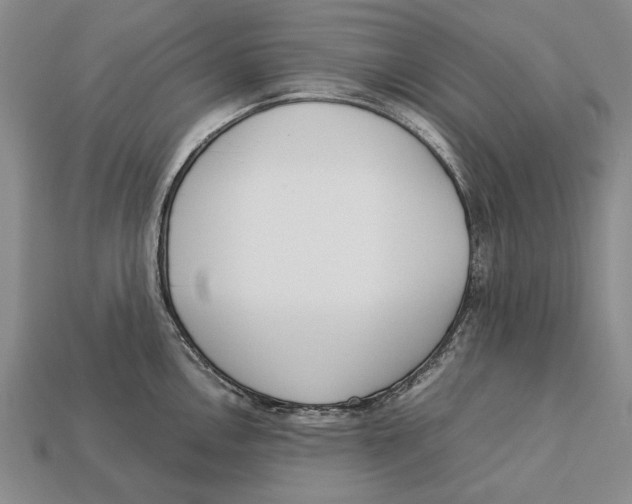 X0000113031146200909241408