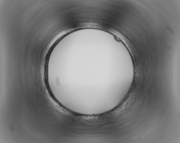 X0000113031147200909241408