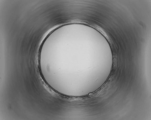 X0000113031148200909241408