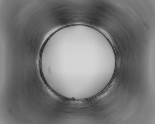 X0000113031149200909241408