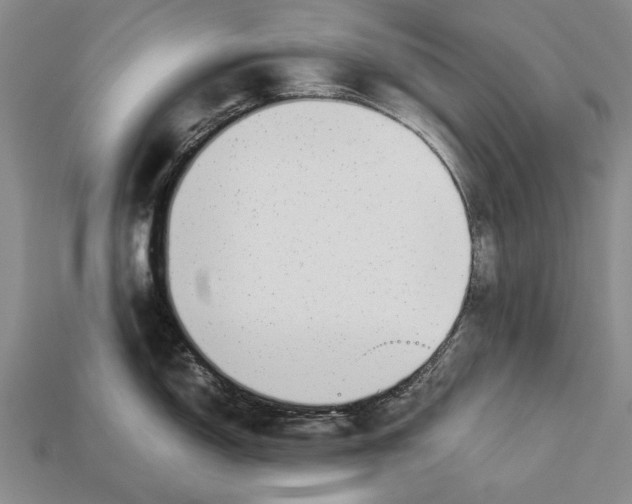 X0000113031150200909241408