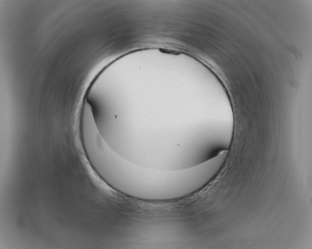 X0000113031152200909241408