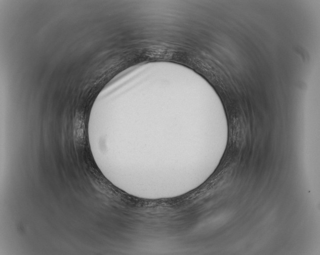 X0000113031154200909241407