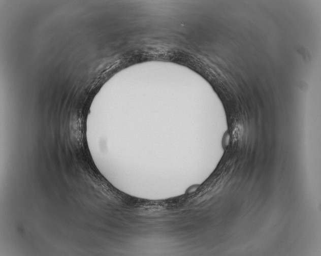 X0000113031156200909241407