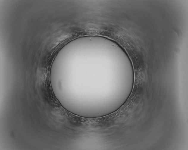 X0000113031157200909241407