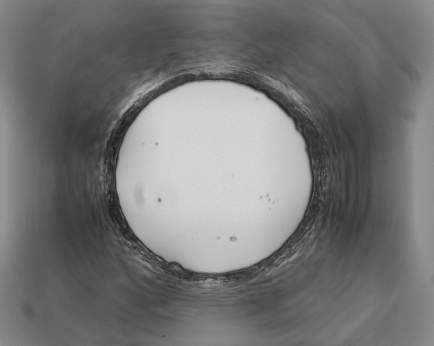 X0000113031160200909241407