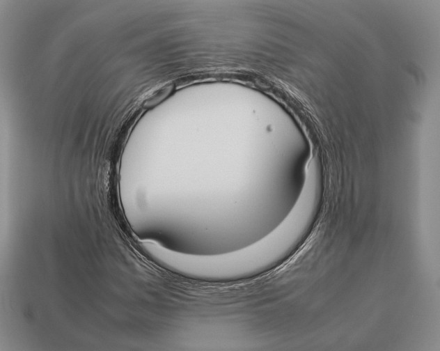 X0000113031161200909241407