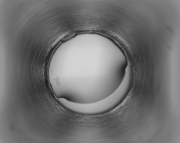 X0000113031162200909241407