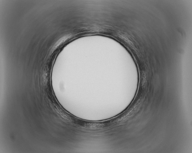 X0000113031163200909241407