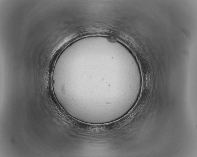 X0000113031165200909241407