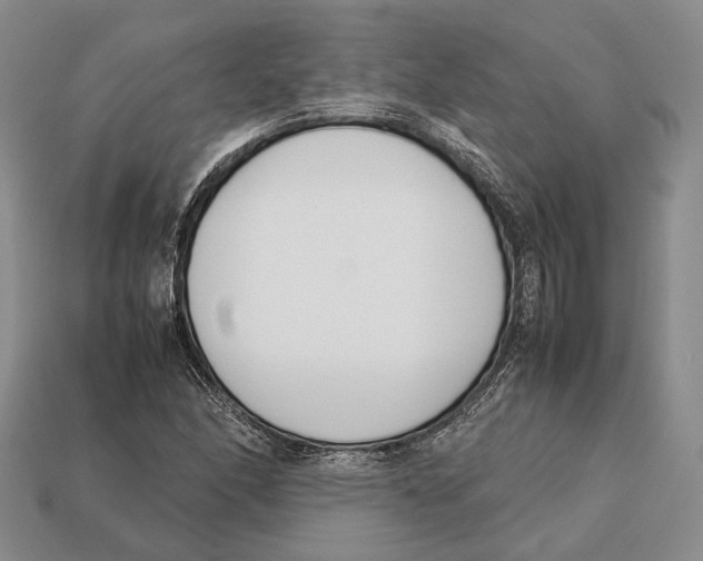 X0000113031166200909241407