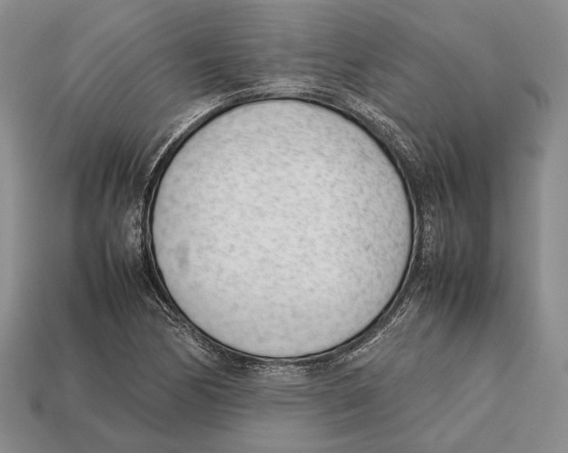 X0000113031170200909241407