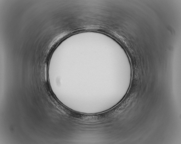 X0000113031171200909241407