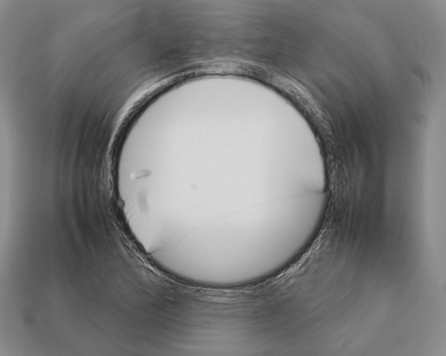 X0000113031172200909241407