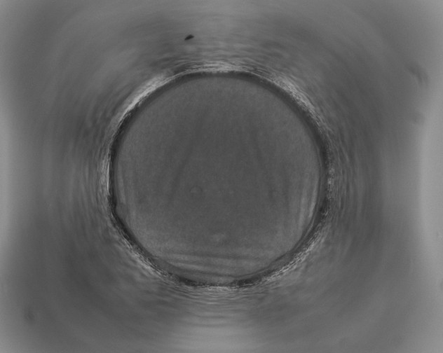 X0000113031173200909241407