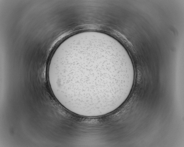 X0000113031174200909241407