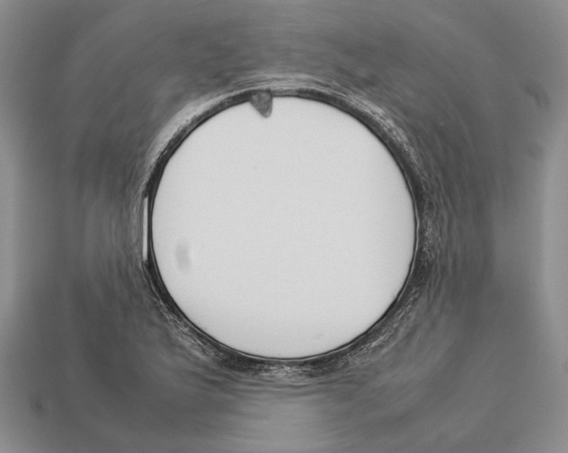 X0000113031175200909241407