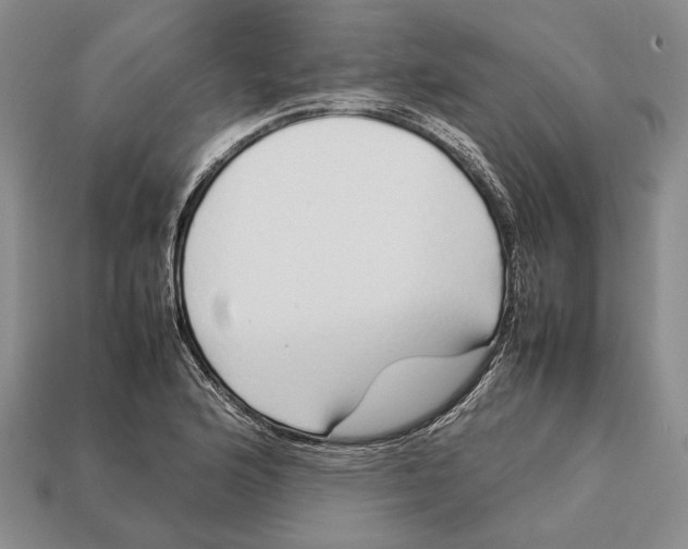 X0000113031176200909241407