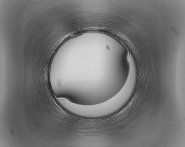 X0000113031177200909241407