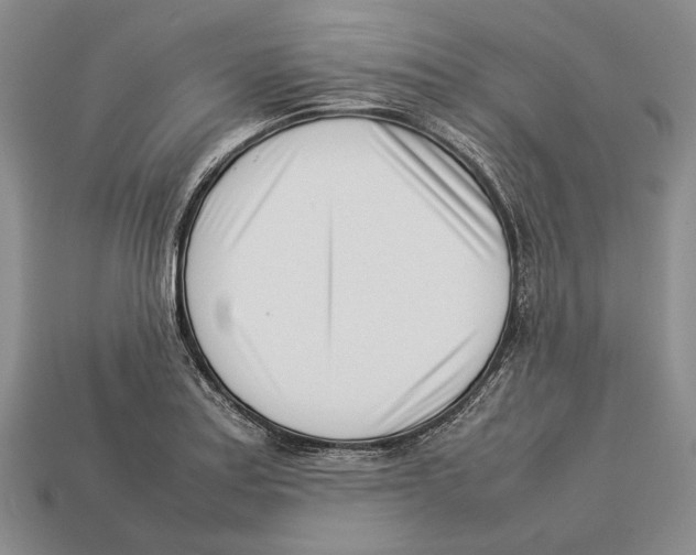 X0000113031179200909241407