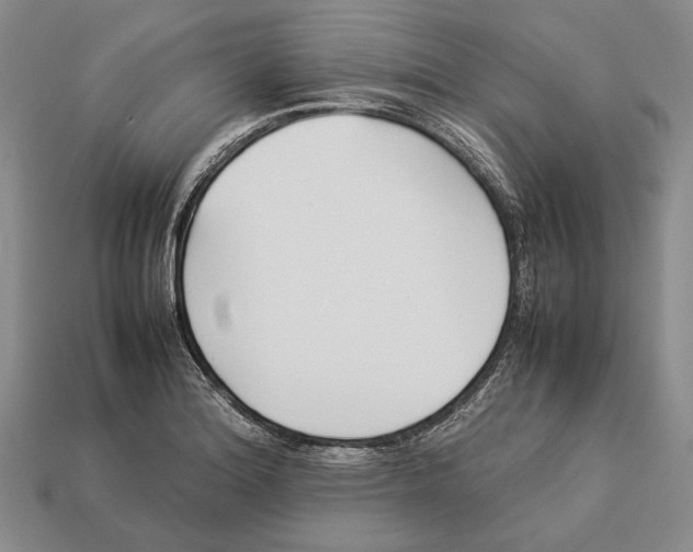 X0000113031180200909241407