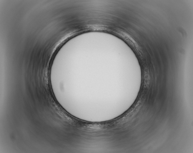 X0000113031182200909241407