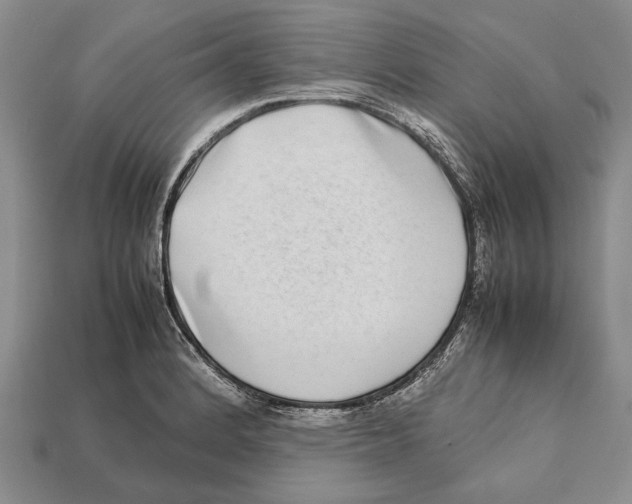 X0000113031184200909241407