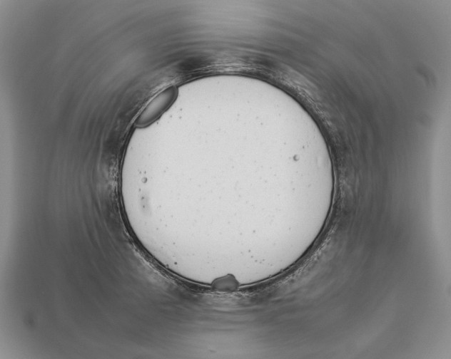 X0000113031185200909241407