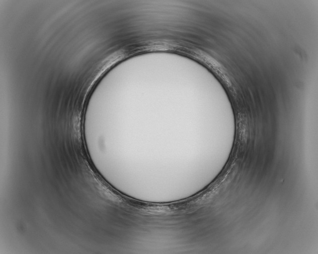 X0000113031186200909241407