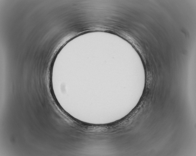 X0000113031187200909241407