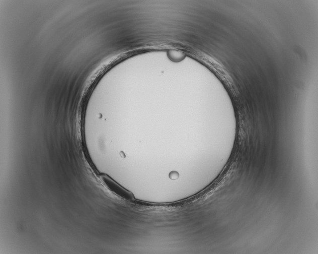 X0000113031188200909241407