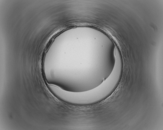 X0000113031189200909241407