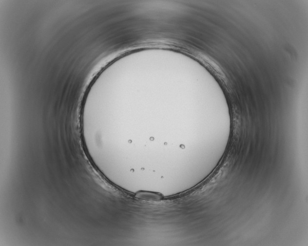 X0000113031192200909241407