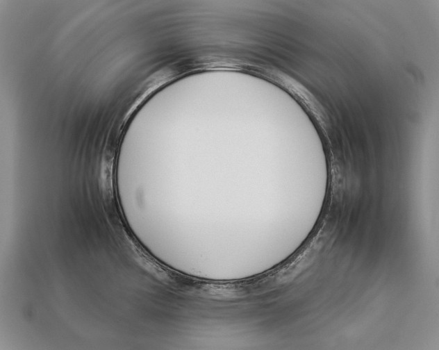 X0000113031194200909241407