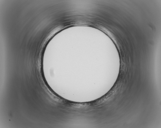 X0000113031195200909241407