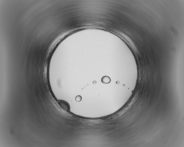 X0000113031196200909241407