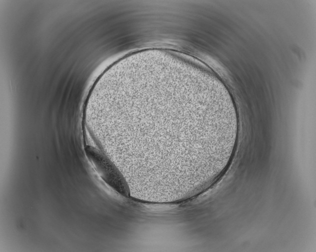 X0000113031200200909241407