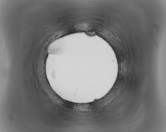 X0000113031201200909241406