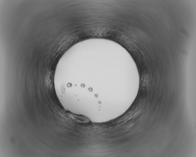 X0000113031202200909241406