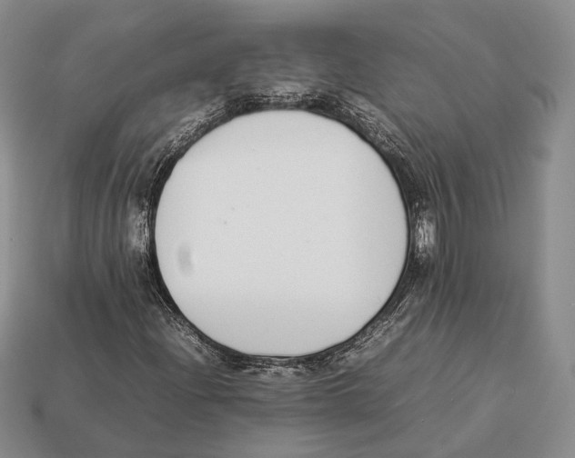 X0000113031204200909241406