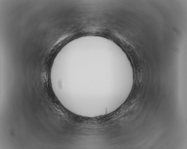 X0000113031206200909241406