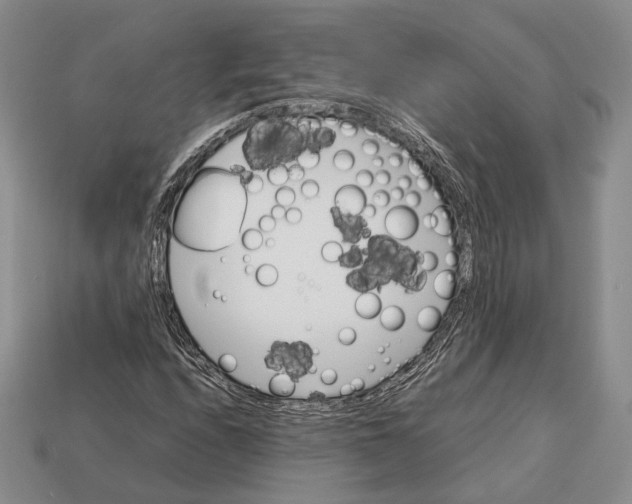 X0000113031208200909241406