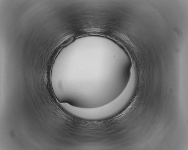 X0000113031209200909241406