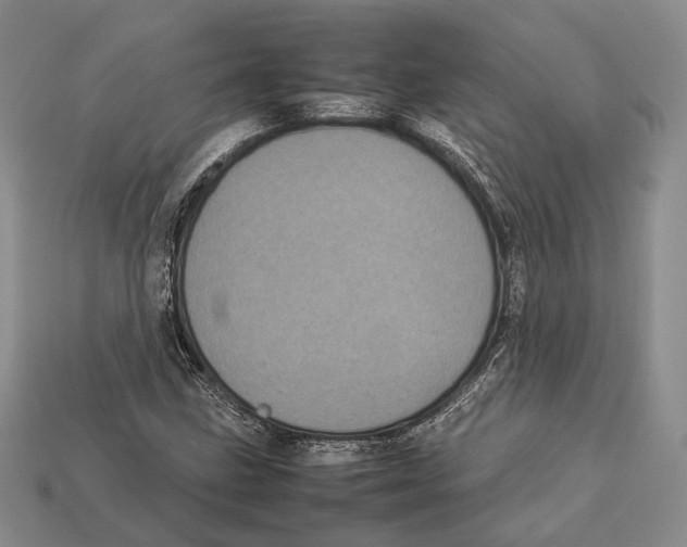 X0000113031211200909241406