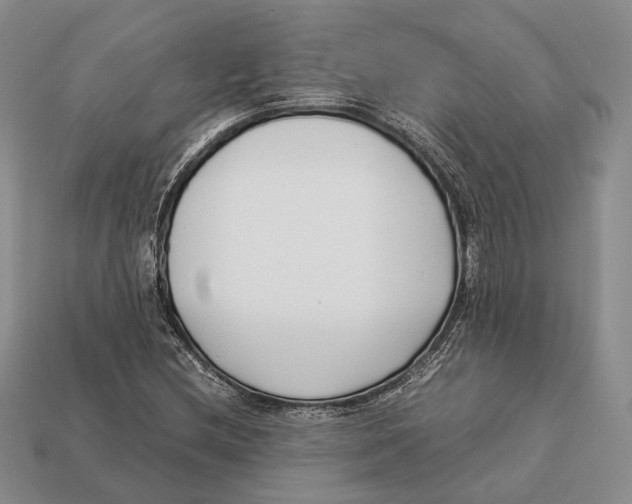 X0000113031212200909241406