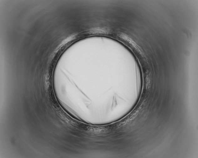 X0000113031213200909241406