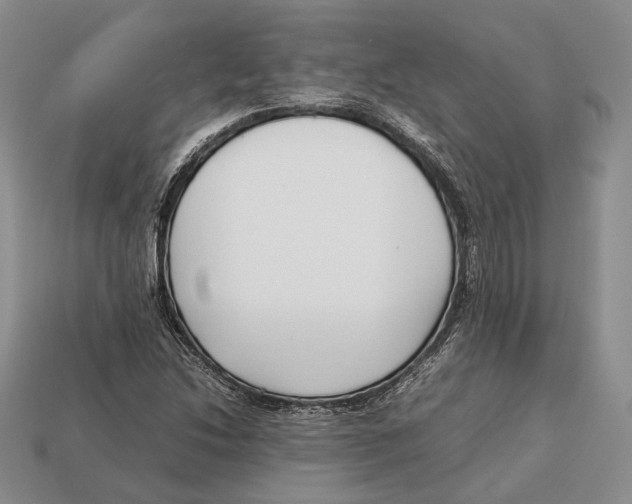 X0000113031214200909241406