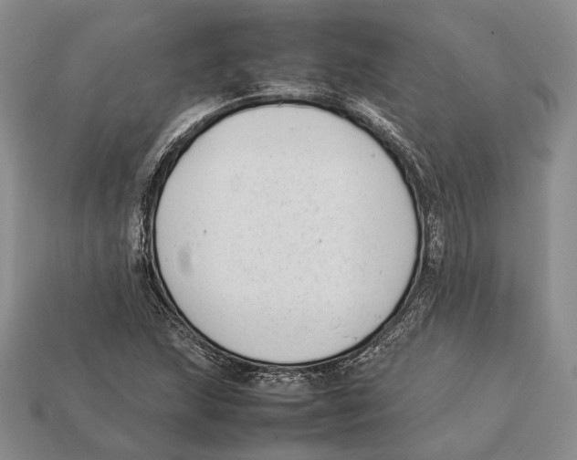 X0000113031215200909241406